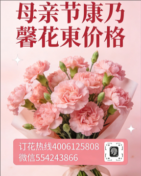 来宾花店母亲节康乃馨花束